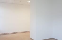 Spatiu comercial, Premium, Renovat Recent, 690 mp, zona Centrală