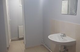 Spatiu comercial, Premium, Renovat Recent, 690 mp, zona Centrală