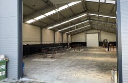 Hala moderna de vanzare, 600 mp, zona Garii, Darmanesti