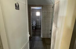 Spatiu multifunctional, 560 mp, Malini