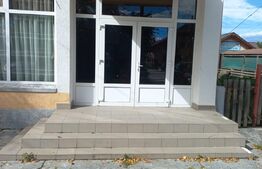 Spatiu multifunctional, 560 mp, Malini