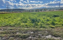 Teren intravilan 6400 mp,parcelabil in functie de preferinte in cartierul Burdujeni, zona Laniste