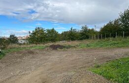 Teren intravilan 729 mp, in cartierul Burdujeni