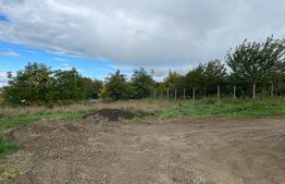 Teren intravilan 729 mp, in cartierul Burdujeni