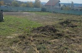 Casa individual, la rosu, 120 mp, 1600 mp teren, toate utilitatile, zona Burdujeni