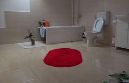 Oportunitate! Casa individuala 327 mp, D+P+M ,500 mp teren, zona Centrala