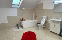 Oportunitate! Casa individuala 327 mp, D+P+M ,500 mp teren, zona Centrala