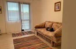 Oportunitate! Casa individuala 327 mp, D+P+M ,500 mp teren, zona Centrala