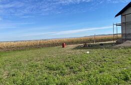 Teren intravilan, 1000 mp, situat in Ipotesti