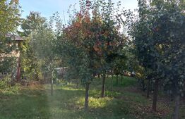 Casa la rosu, 180 mp, teren 900 mp, zona Burdujeni sat