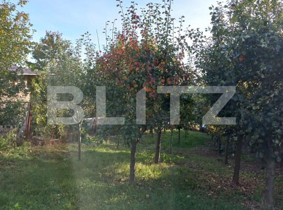 Casa de vânzare 4 camere Burdujeni - 99002CV | BLITZ Suceava | Poza5