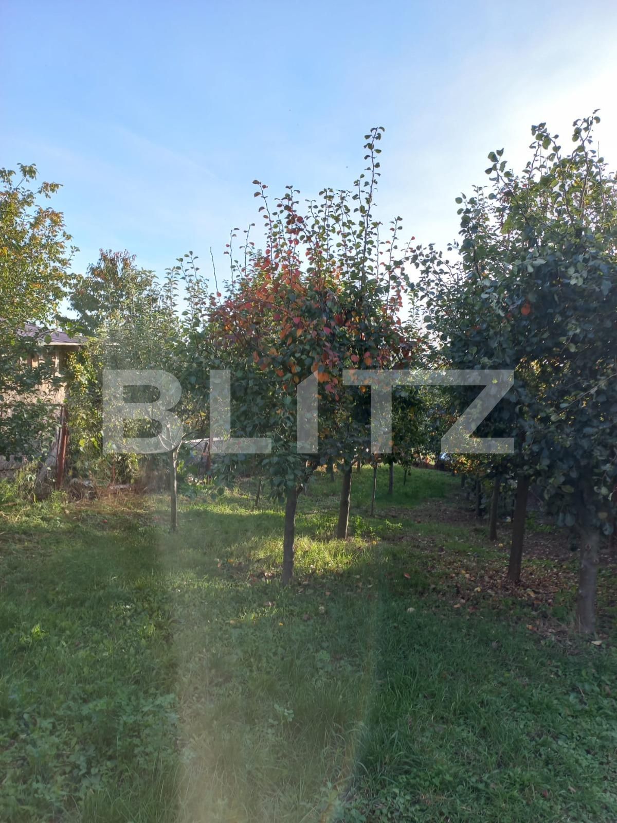 Casa de vânzare 4 camere Burdujeni - 99002CV | BLITZ Suceava | Poza5