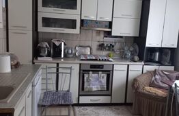 Ocazie! Gospodarie in zona Mitocul Dragomirnei, 4000mp teren 