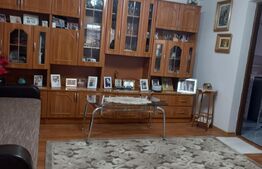 Ocazie! Gospodarie in zona Mitocul Dragomirnei, 4000mp teren 