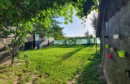 Ocazie, casa individuala, 200 mp, teren 1000 mp, Mitocul Dragomirnei