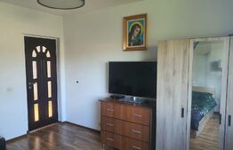 Ocazie, casa individuala, 200 mp, teren 1000 mp, Mitocul Dragomirnei