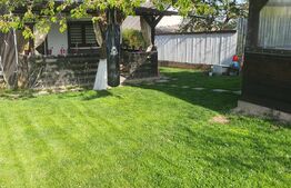 Ocazie, casa individuala, 200 mp, teren 1000 mp, Mitocul Dragomirnei