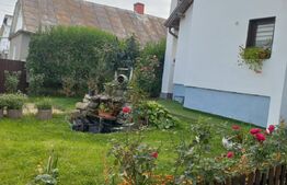 Ocazie, casa individuala, 200 mp, teren 1000 mp, Mitocul Dragomirnei