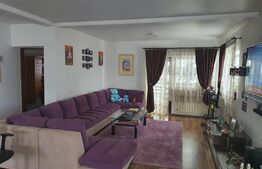 Ocazie, casa individuala, 200 mp, teren 1000 mp, Mitocul Dragomirnei