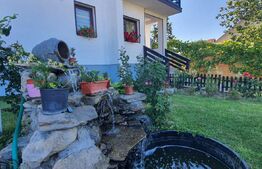 Ocazie, casa individuala, 200 mp, teren 1000 mp, Mitocul Dragomirnei