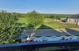 Ocazie, casa individuala, 200 mp, teren 1000 mp, Mitocul Dragomirnei