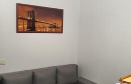 Ocazie, casa individuala, 200 mp, teren 1000 mp, Mitocul Dragomirnei