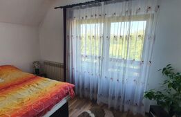 Ocazie, casa individuala, 200 mp, teren 1000 mp, Mitocul Dragomirnei