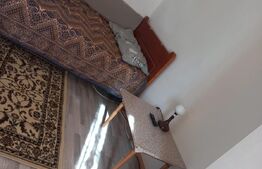 Garsoniera, 23 mp, pat matrimonial, zona Burdujeni