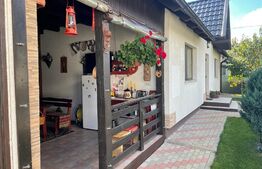 Oportunitate! casa individuala, 285 mp, 900 mp teren,Moara Nica