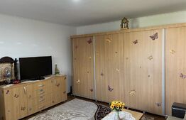 Oportunitate! casa individuala, 285 mp, 900 mp teren,Moara Nica