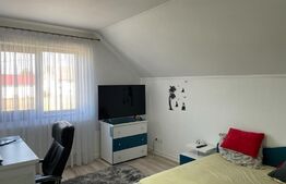 Oportunitate! casa individuala, 285 mp, 900 mp teren,Moara Nica