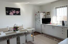 Oportunitate! casa individuala, 285 mp, 900 mp teren,Moara Nica