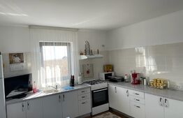 Oportunitate! casa individuala, 285 mp, 900 mp teren,Moara Nica