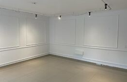 Super pret!!Casa de 200 mp + spatiu comercial de 80 mp , 315 mp teren, zona Centrala