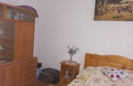 Casa individuala, 372 mp, 1339 mp teren, pretabila business, zona Scheia