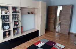 Apartament 2 camere decomandat, 58 mp, zona Burdujeni