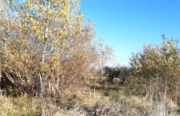 Teren 943 mp, intravilan, Razvad