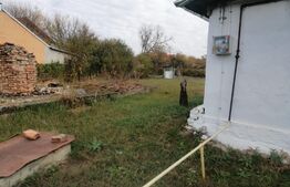 Casa individuala 42 mp, teren de 1000 mp, front 27 ml, Razvad