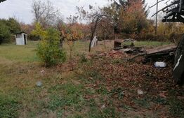 Casa individuala 42 mp, teren de 1000 mp, front 27 ml, Razvad