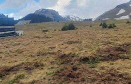 Teren de 1200 mp, Moroeni 