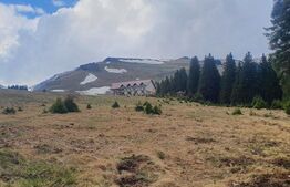 Teren de 1200 mp, Moroeni 