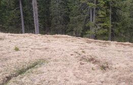 Teren de 1200 mp, Moroeni 