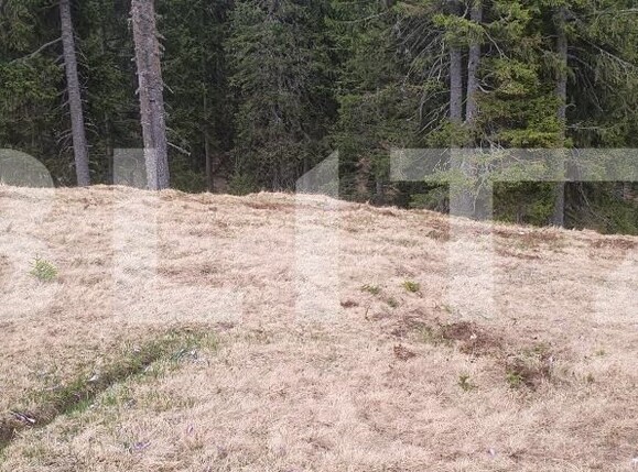 Teren de vânzare Exterior Nord - 101126TV | BLITZ Târgoviște | Poza3