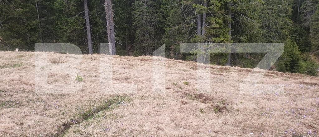 Teren de vânzare Exterior Nord - 101126TV | BLITZ Târgoviște | Poza3