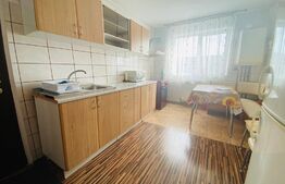 Apartament 2 camere, 50mp, Micro 11
