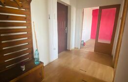 Apartament 2 camere, 50mp, etaj intermediar, Micro 11