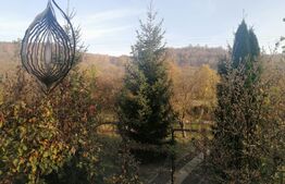 Casă individuală 88 mp, teren 1752 mp, Priboiu