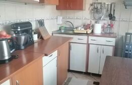 Casă individuală 88 mp, teren 1752 mp, Priboiu