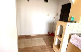 Apartament spatios, 2 camere, 50mp, Micro 11