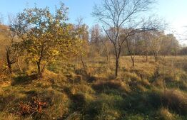 Oportunitate! Teren intravilan, 3424 mp, Razvad, sat Gorgota